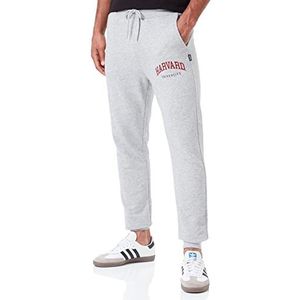 ONLY & SONS Male joggingbroek Harvard-, lichtgrijs gem., M