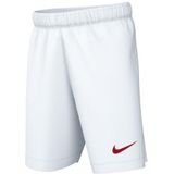 Kinder shorts Nike Dri-FIT Park 3