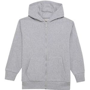 DeFacto Jongens Sweatjack Pullover Sweatshirt en Vest - Stijlvolle Kinderkleding voor Jongens (Optic LT.Grey Melange, 7/8 Y), Optic Lt.grey melange, 7-8 Jaar