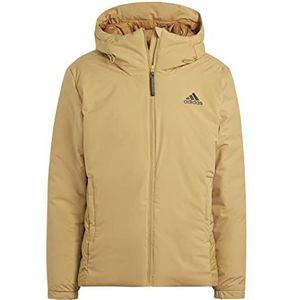Adidas Heren Traveer Cold.rdy Jacket JACKET (DOWN)