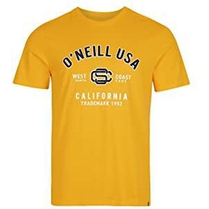 O'NEILL Tees State T-shirt, 12010 Old Gold, Regular (2-pack) voor heren