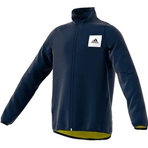 Adidas JB TR Aero Wo T sweatshirt, kinderen, maruni/Amasho/wit, 140 (9/10 jaar)