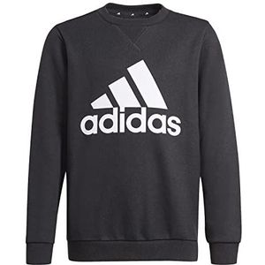 adidas Sweatshirt GN4029 Jongens