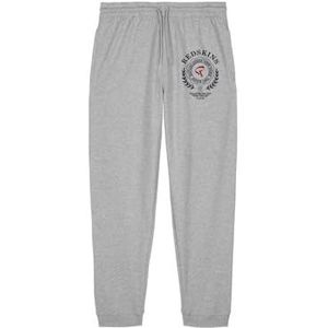 REDSKINS Joggingbroek voor heren, grijs, XXL, casual, Grijs, XXL