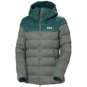 Helly Hansen DAMES VERGLAS GLACIER DOWN JAS, 485 GRIJZE CACTUS/DONKERE CREEK, S