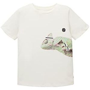 TOM TAILOR Jongens 1036035 T-shirt voor kinderen, 12906-Wool White, 92/98, 12906 - Wool White, 92 cm