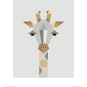 Art Group The Little Design Haus (Giraffe) -Kunstdruk 40 x 50cm, Papier, Veelkleurig, 40 x 50 x 1,3 cm