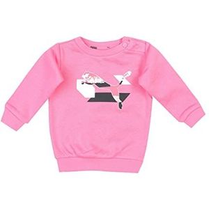 PUMA Trainingsbroek merk Minicats Alpha Crew Jogger FL