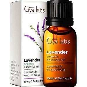 Gya Labs Pure Biologische EssentiÃ«le Olie van Lavendel voor Diffuser & Huid - 100% Kalmerende Biologische Lavendelolie voor Aromatherapie & Ontspanning - Lavendelolie Biologisch voor Haargroei (10ml)