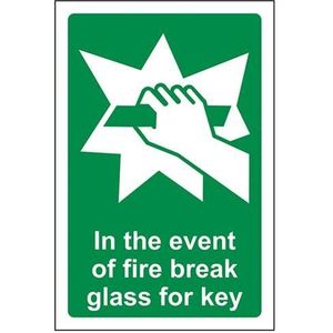 VSafety 23015AG-S ""In The Event Of Fire Break Glass For Key"" Safe Condition Algemeen Teken, Zelfklevend, Portret, 100 mm x 150 mm, Groen