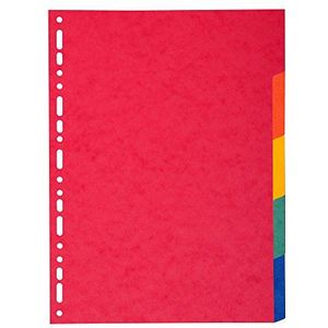 Exacompta - ref. 2105E - Felgekleurde gerecycleerde tabbladen 220g/m2 met 5 neutrale tabs - Formaat A4 Maxi. - Afmetingen: 24,5 x 29,7 cm