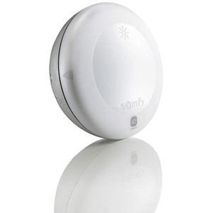 Somfy 2401219 - Sunis Wirefree io | Draadloze zonsensor voor buiten | Compatibel met TaHoma (switch)