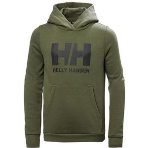 Helly Hansen Junior Unisex Jr HH Logo Hoodie 2.0, Utility Groen, 8