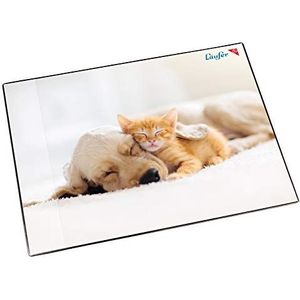 Läufer 46657 bureauonderlegger hond en kat, 53 x 40 cm, antislip bureauonderlegger voor kinderen, met transparant zijvak