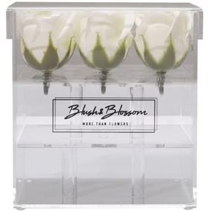 Blush & Blossom Rose Fleurs 9-Pièce dans Dégager Boîte, Crème