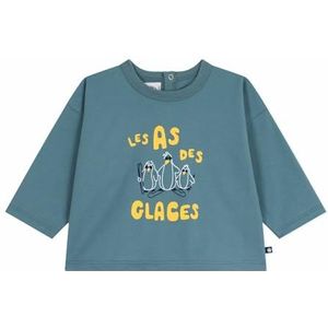 Petit Bateau Baby T-shirt van katoen met lange mouwen, kattenmotief, Goblin, 3 Maanden