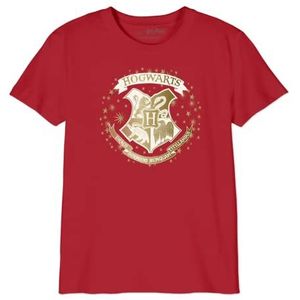 HARRY POTTER T-shirt voor jongens, Rood, 14 Jaren