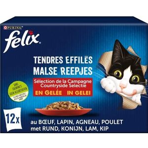 PURINA Felix mals conisch vlees van gelei, kattenvoer junior, 12 x 85 g