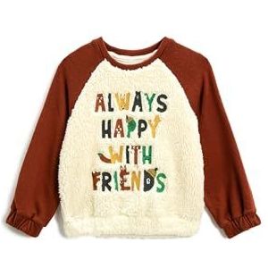 Koton Babyboys Shearling Knit Detail Sweat geborduurd sweatshirt, ecru(010), 12-18 Maanden
