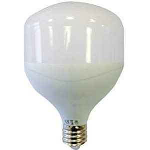 Fbright Led Lamp, wit