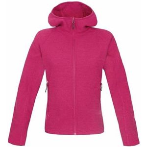 Rock Experience Crystal Hoodie Fz Sweatshirt voor heren