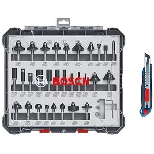 BOSCH ACCESORIOS Freesbitsset - 30 Stuks - Houtbewerking - Diverse Snijprofielen