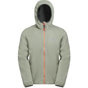 Jack Wolfskin - FELDBERG HOODED JKT - Outdoorjack - Mint/Leaf