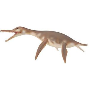 Dinozaur dolichorhynchops