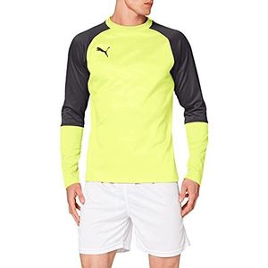 PUMA Herren Pullover CUP Training Sweat Core, Fizzy Yellow-Asphalt, XL, 656021