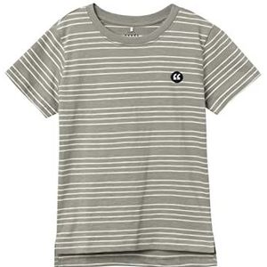 Bestseller A/S T-shirt voor jongens, Dried Sage/Stripes: whitecap grijs, 116 cm