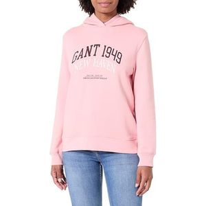 GANT REG Arch Print Hoodie, Summer Rose, XS