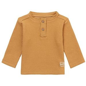 Noppies Baby Baby Jongens Boys Tee Manila Long Sleeve T-Shirt, Apple Cinnamon-P005, 50, Apple Cinnamon - P005, 50 cm
