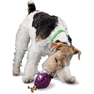 PetSafe Busy Buddy Twist 'n Treat hondendispenser, middelgroot, paars, grote rassen