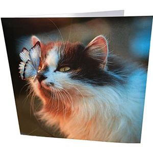 Kat en vlinder vierkant blanco verjaardagskaart