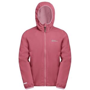 Jack Wolfskin - FELDBERG HOODED JKT - Outdoorjack - Soft/pink