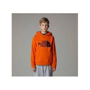 THE NORTH FACE Unisex kinderen Drew Peak P/O hoodie