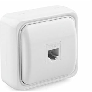 S-SUPFICIE 65 TELEF-basis, 1 x RJ11, elegant en functioneel, ideaal voor een efficiënte verbinding. Perfect voor kantoor en thuis, zorgt voor ononderbroken communicatie.