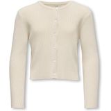 KIDS ONLY - KOGNATASCHA LS O-NECK CARD CP KNT NOOS - Vest - Birch