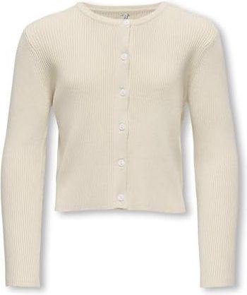 KIDS ONLY - KOGNATASCHA LS O-NECK CARD CP KNT NOOS - Vest - Birch