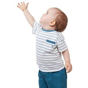 Petit Bateau T-shirt met korte mouwen voor jongens, malvavisco/libelle, 12 Maanden