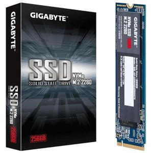 Gigabyte Technology SSD 256GB M.2 PCIE GP-GSM2NE3256GNTD