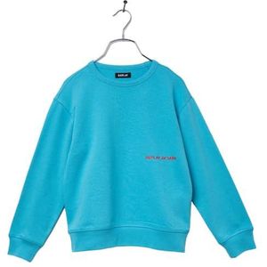 Replay Jongens sweatshirt loose fit, 489 Bright Sky, 14 Jaar