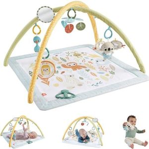 Fisher-Price Baby activiteitenmat Simply Senses gym voor baby's met 6 draagbare zintuiglijke speeltjes voor baby's, HRB15