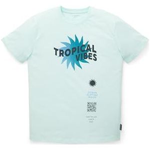 TOM TAILOR Jongens 1036009 Kinder T-Shirt, 31667-Light Aqua, 128, 31667 - Light Aqua, 128 cm