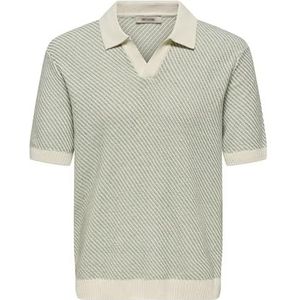 ONLY & SONS Poloshirt voor heren, Iceberg Green., L