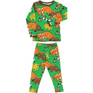 T-shirt, lange mouwen & legging, set dinosaurussen, groen, 12-24 Maanden