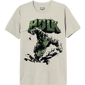 Marvel Hulk Poster T-shirt voor heren, naturel, maat M, Natuurlijk, M