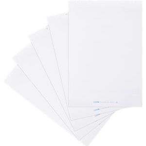Landré Flipchart-papier, blanco, met 20 vellen per blok, 6 perforaties, 5 stuks