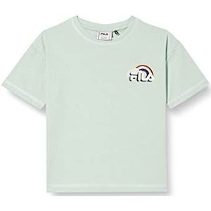 FILA Cosa Oversized T-shirt voor kinderen, uniseks, Silt Green Melange, 86-92