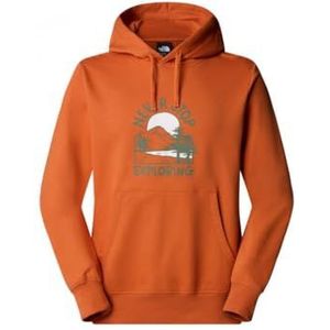The North Face - Outdoor Graphic - Trui - Iron Bronze - Katoen